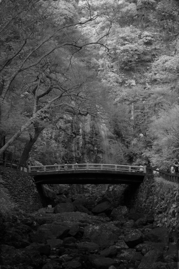 箕面の滝全景