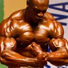 ボディビル国際大会 (NABBA World 2012)