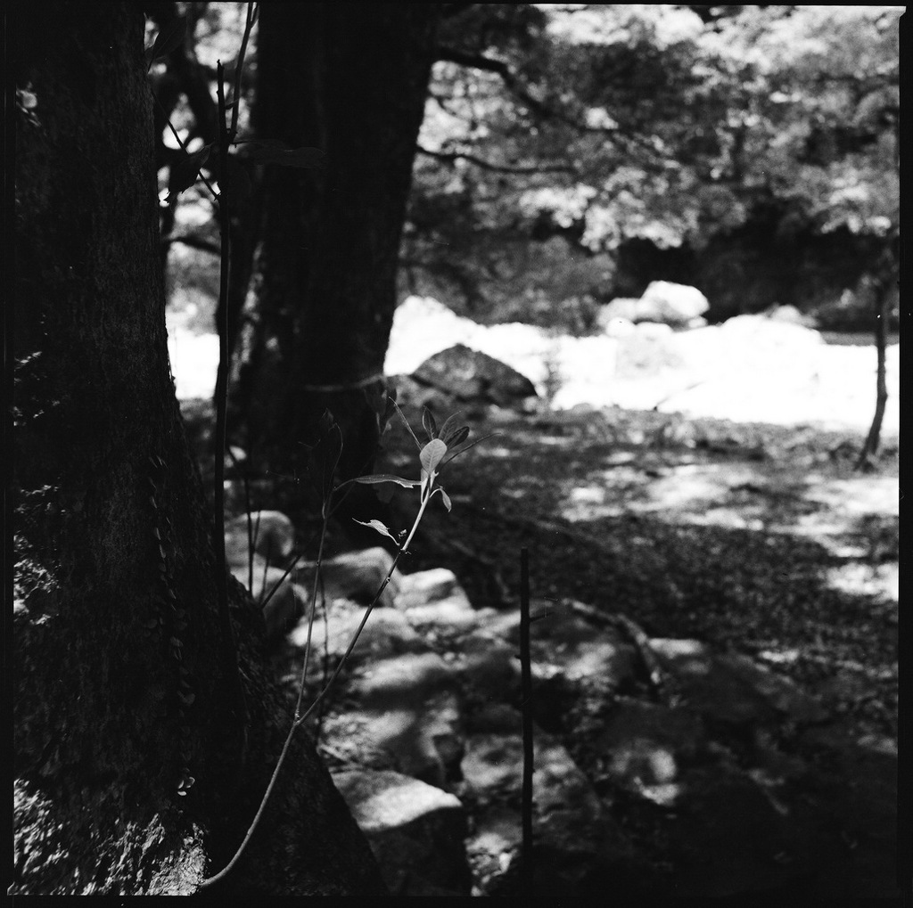 篠山