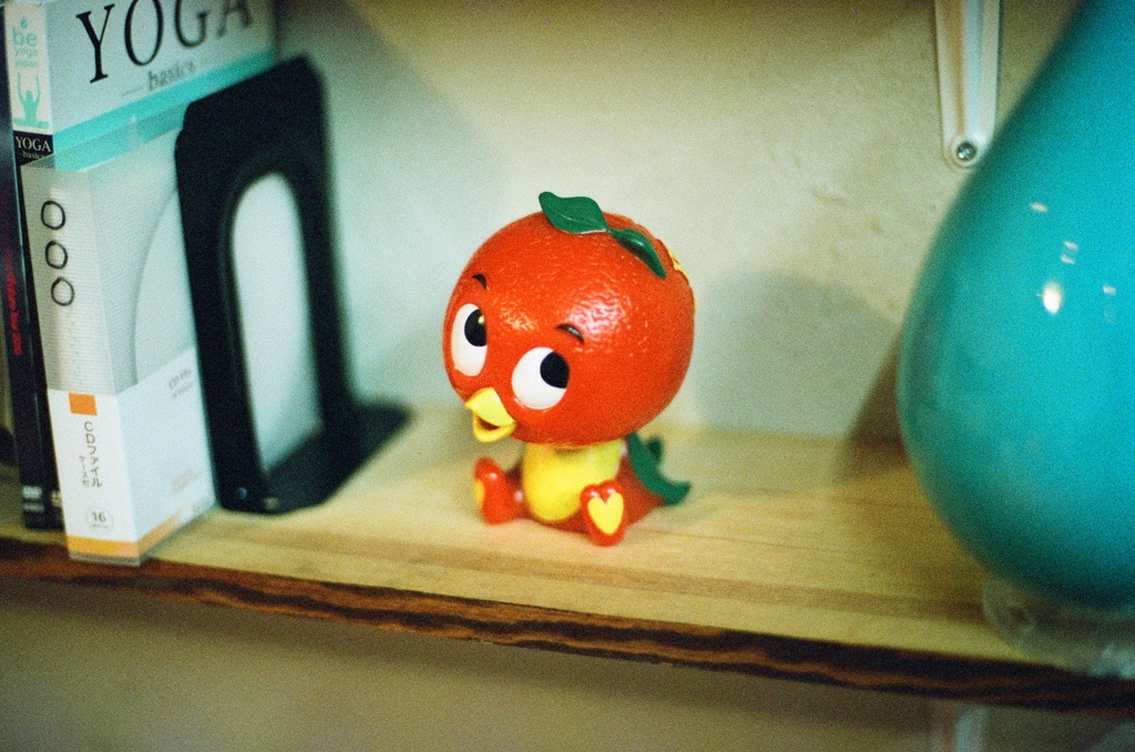 オレンジバード