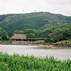 南楽園　庭園