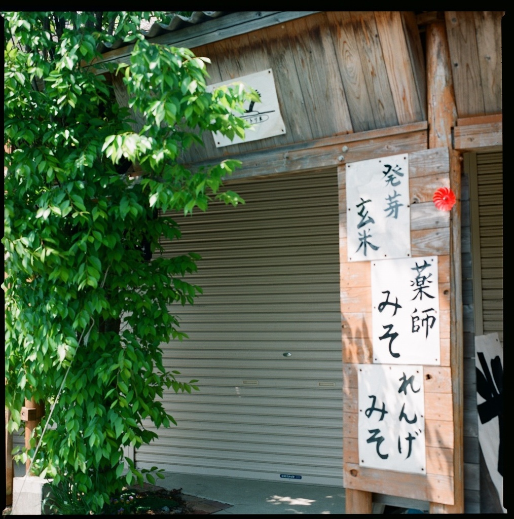みそ