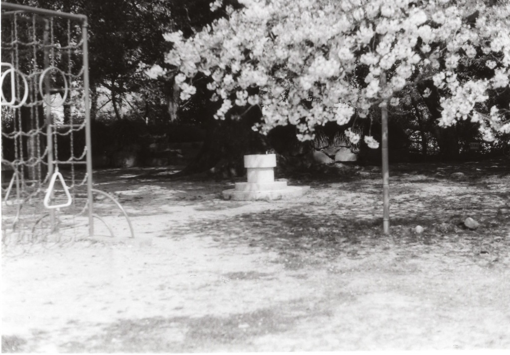 公園