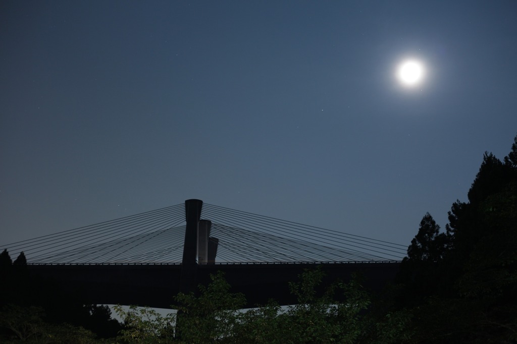 月夜の斜張橋