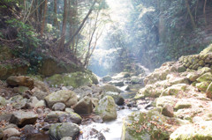 日差し