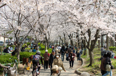 桜ノ宮公園