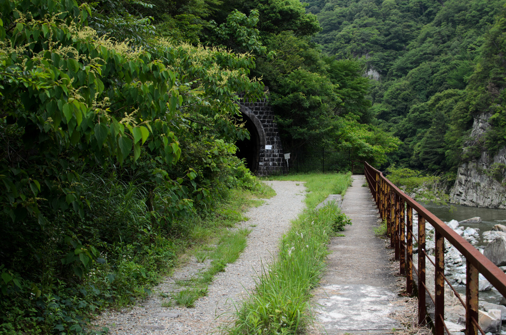 トンネルが見えてきた