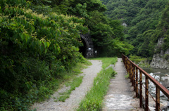 トンネルが見えてきた