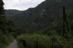 トンネルを抜けたら