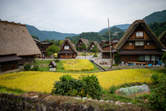 白川郷 合掌造り