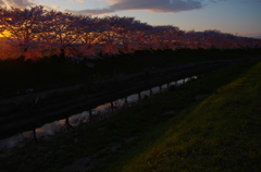 奈良の川原2014春