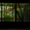 窓からの風景