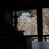 奈良の春2014