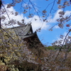 奈良の春2014