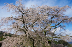 奈良の春2014
