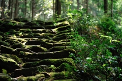 熊野古道　松本峠