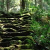 熊野古道　松本峠