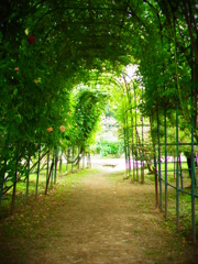 秘密の花園