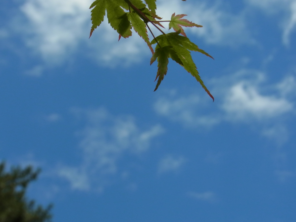心地よさそうな