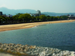 初夏の匂い