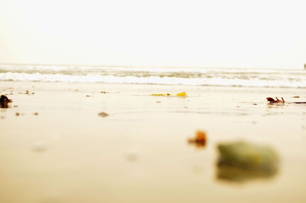 海