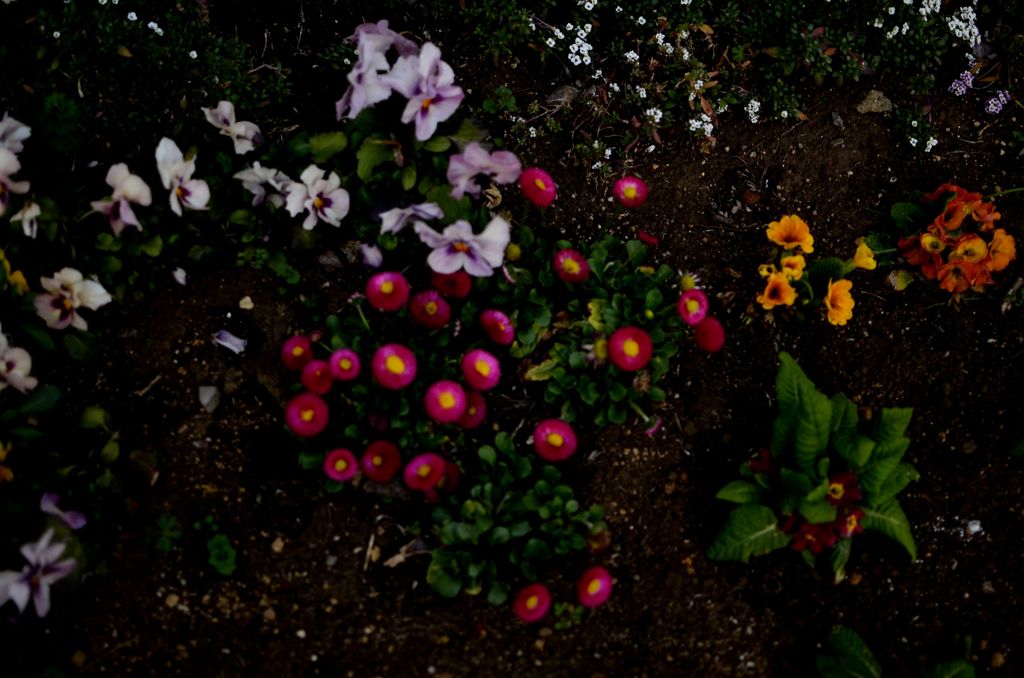 spring 5