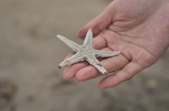 star