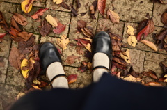 fallen leaves-8