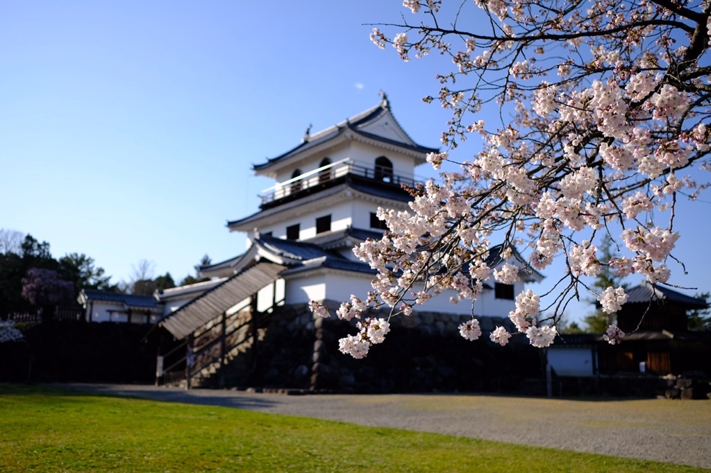 桜色
