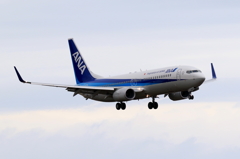 ANA B737-800