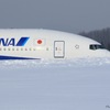 ANA //