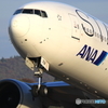 STAR ALLIANCE B777