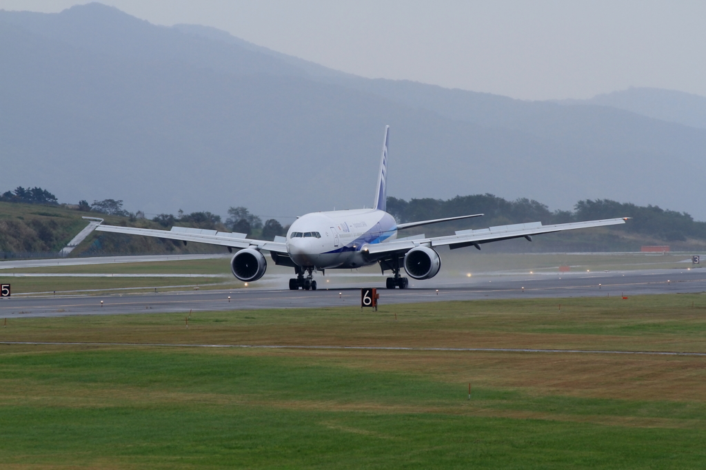 ANA B777-200 Reverse