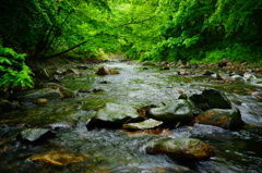 green and river