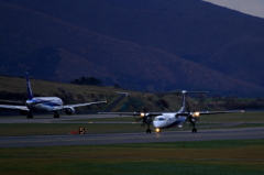 All Nippon Airways