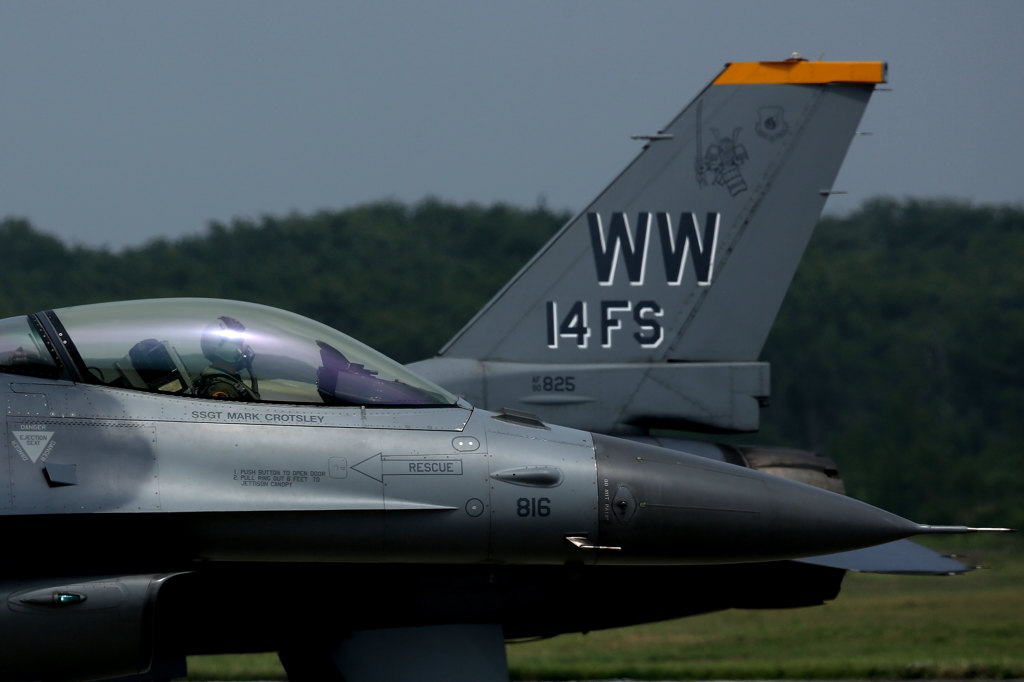 Falcon&falcon