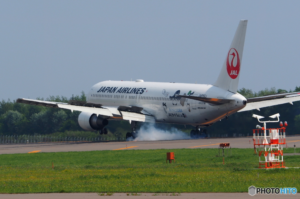 夏の函館空港　（ペンギン編）