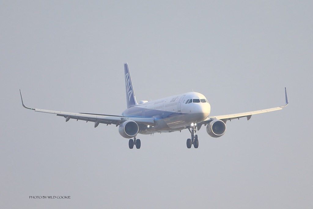 AIRBUS A321-200（ANA)　 函館初飛来