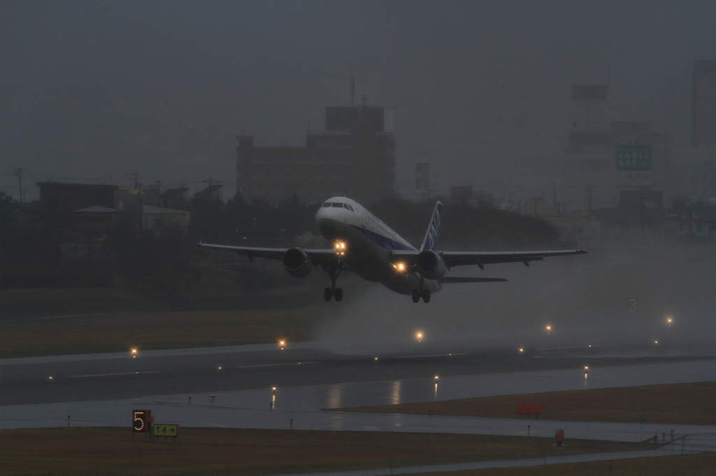 ANA A320