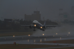 ANA A320