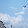 Misawa Air Festa 2017