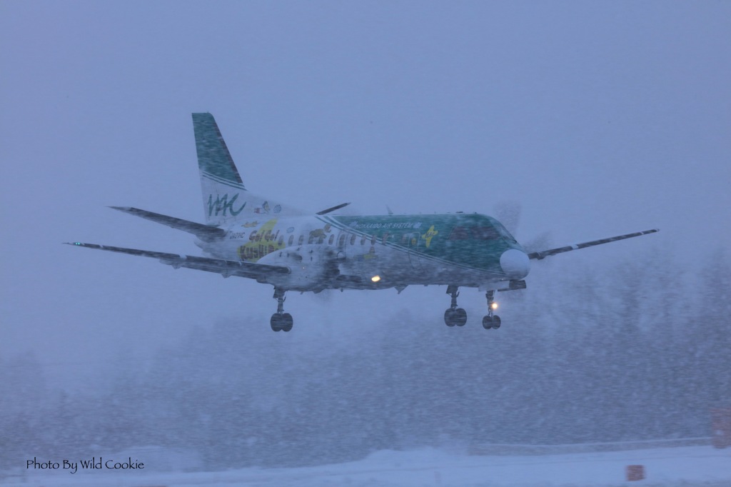 吹雪の函館空港