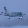 吹雪の函館空港