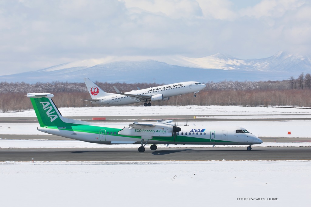 new chitose airport 遠征⑥