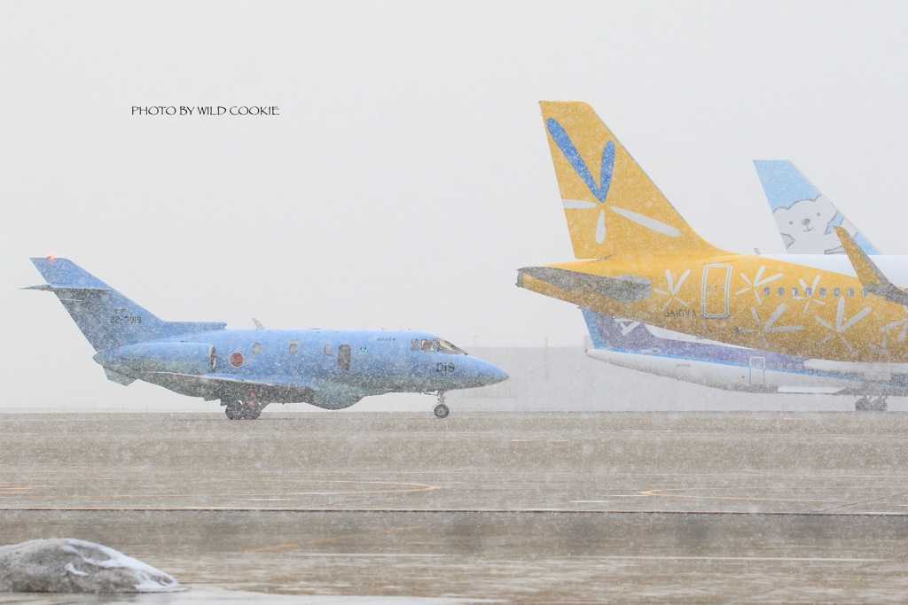 ぼたん雪