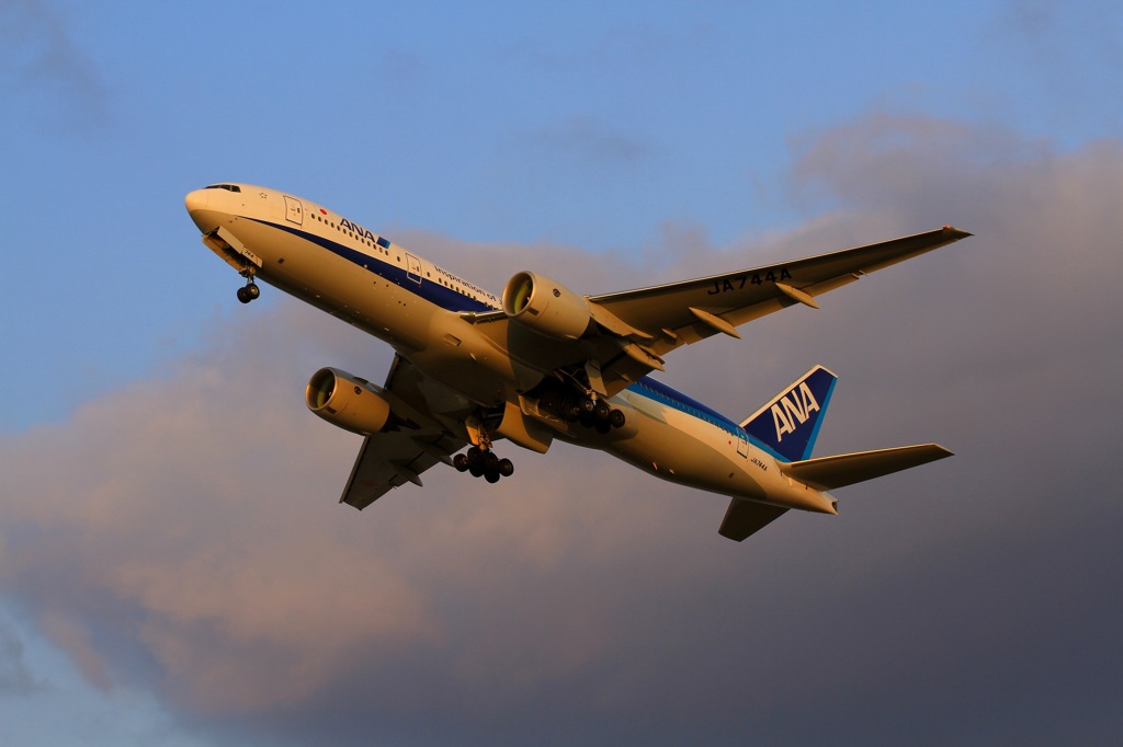 夕陽に照らされて大空へ①