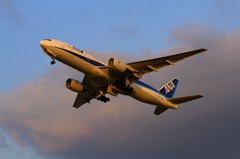 夕陽に照らされて大空へ①
