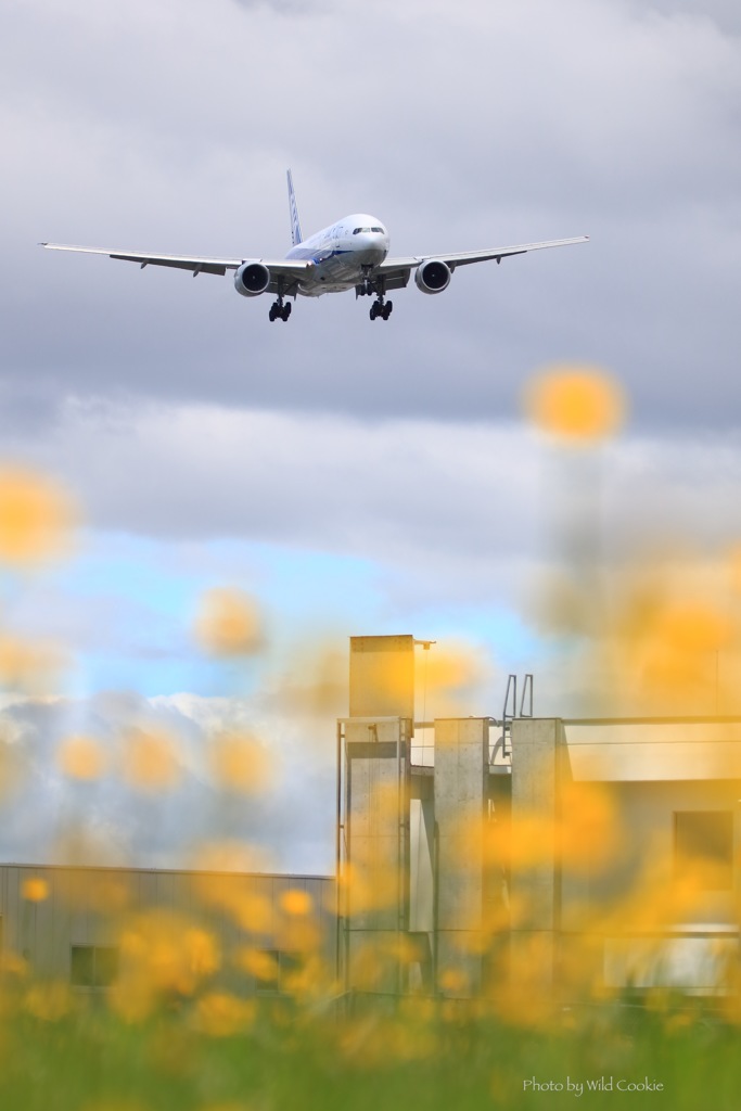 青空ならねぇ～！