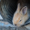 夏バテ注意です。