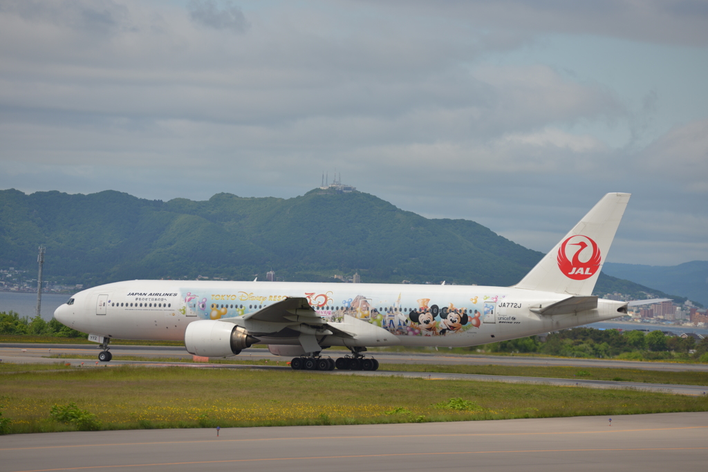 JAL ハピネスエクスプレスと函館山